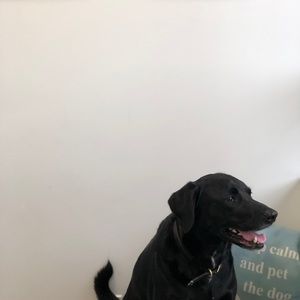 Meet your Posher, Dc